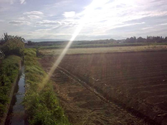 734 1 | Venta Finca SAN ADRIAN - 727