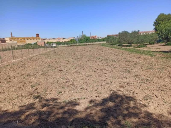 787 1 | Venta Finca SAN ADRIAN - 780