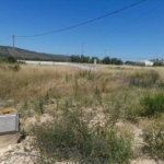 825 1 | Venta Parcela CARCAR - 818