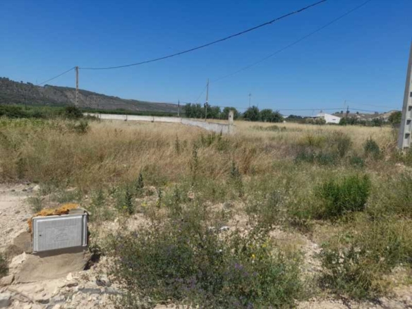 825 1 | Venta Parcela CARCAR - 818